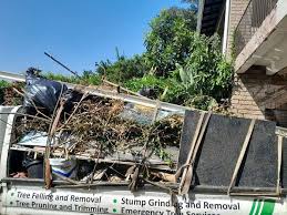 Best Estate Cleanout  in Monticello, UT